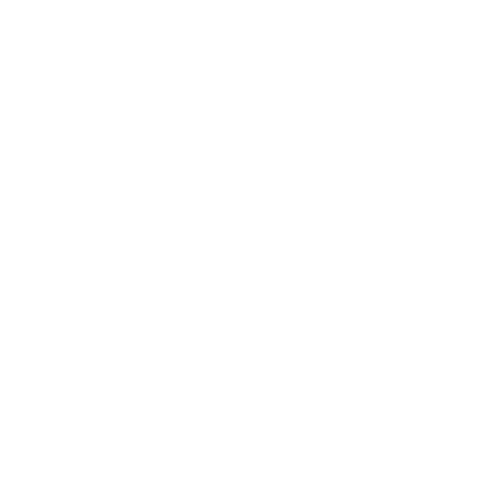 Speaker Icon